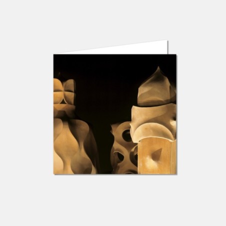 Pedrera Terrace Postcard
