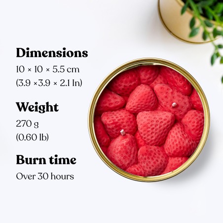 Vela de cera vegetal - Fresas