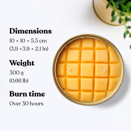 Vela de cera vegetal - Mango