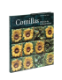 Comillas Un prélude de la modernité